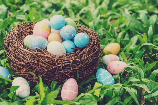 Kleurrijke Pasen Eieren Nest Groen Gras Met Zonlicht Vintage Toned — Stockfoto