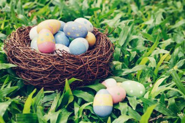 Renkli Paskalya yumurtaları ve güneş ışığı ile yeşil çimenlerin üzerinde yuva. tonda vintage.