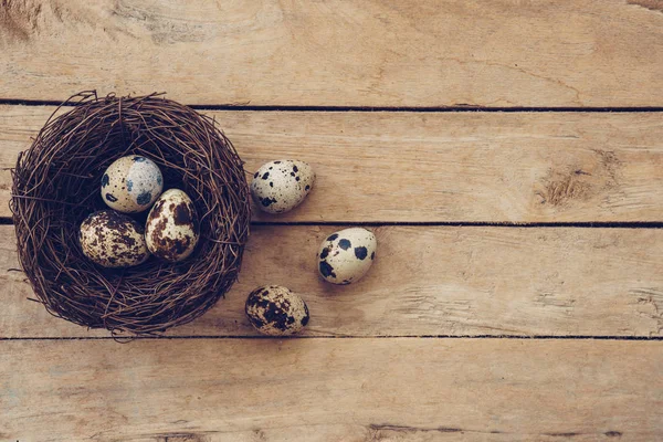 Fa fészket és a húsvéti tojást fa háttér és textúra — Stock Fotó