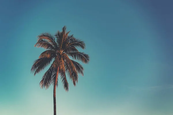 Palmera de coco en la costa tropical en la playa de la isla con vintage — Foto de Stock