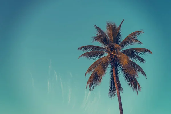 Palmeira de coco na costa tropical na praia da ilha com vintage — Fotografia de Stock