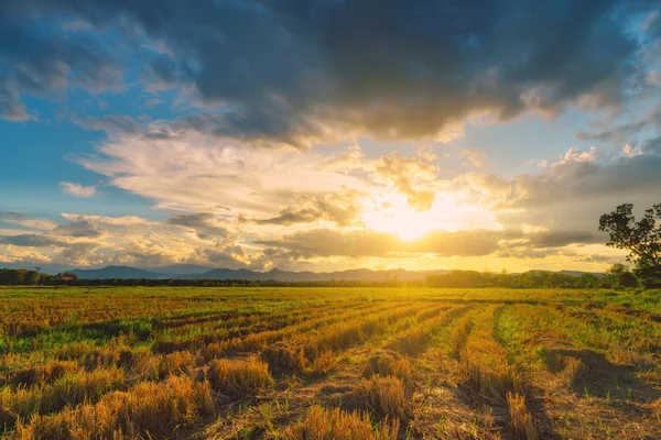 Natural scene Sky clouds and field agricultural sunset backgrou — Stock Photo, Image