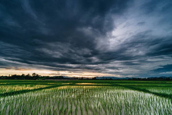 Naturale scenico bel tramonto campo e nuvole di tempesta e verde — Foto Stock