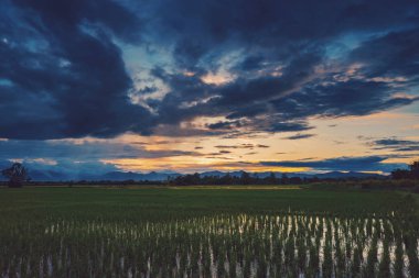 Doğal doğal güzel alan gün batımı ve fırtına bulutlar ve yeşil