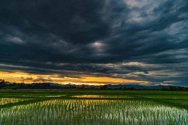Naturale scenico bel tramonto campo e nuvole di tempesta e verde — Foto Stock