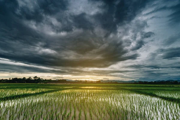 自然风光秀丽的田野和风暴云和绿地 — 图库照片