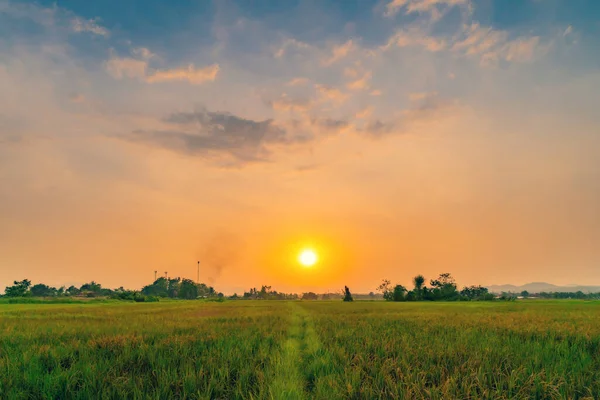 Paesaggio Prato Campo Bel Tramonto — Foto Stock