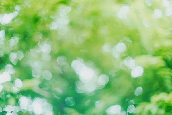 Abstrakte Grüne Bokeh Verschwimmen Hintergrund — Stockfoto