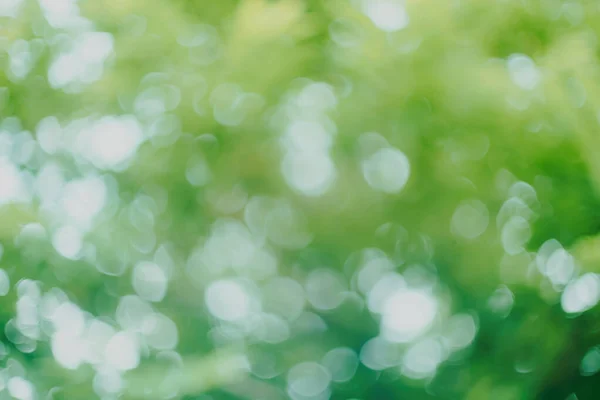 Abstrakte Grüne Bokeh Verschwimmen Hintergrund — Stockfoto