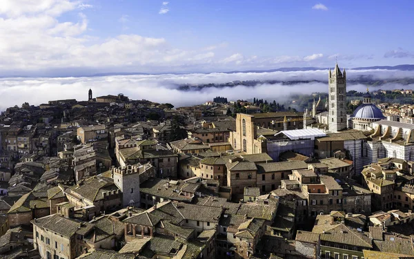 Ortaçağ kenti Siena, İtalya'nın çatı manzarası