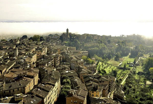 Siena antik kenti üzerinde çatı görünümü, İtalya