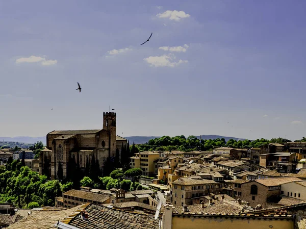 Basilica Cateriniana San Domenico çatı görünümü