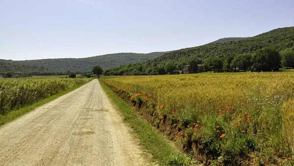 Toskana'daki Via Francigena'nın güzel manzarası
