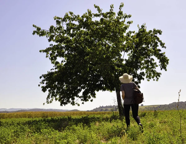 Via Francigena hac güzergahı yürüyüş Hiker