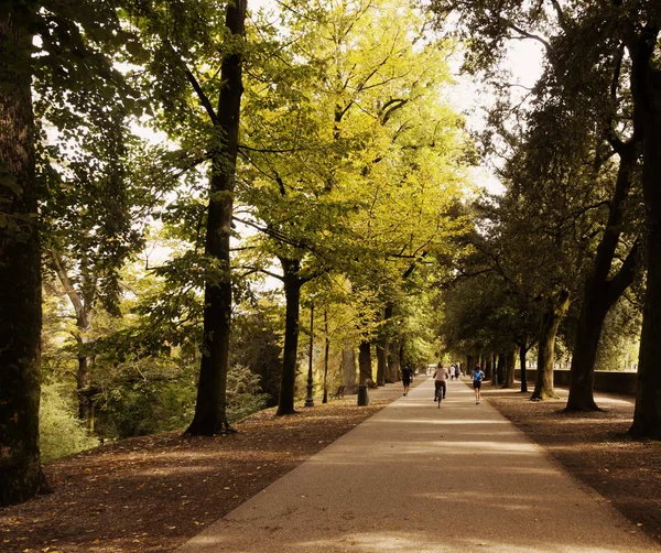 Lucca, Toskana çevresinde sonbahar sabahı görünümü