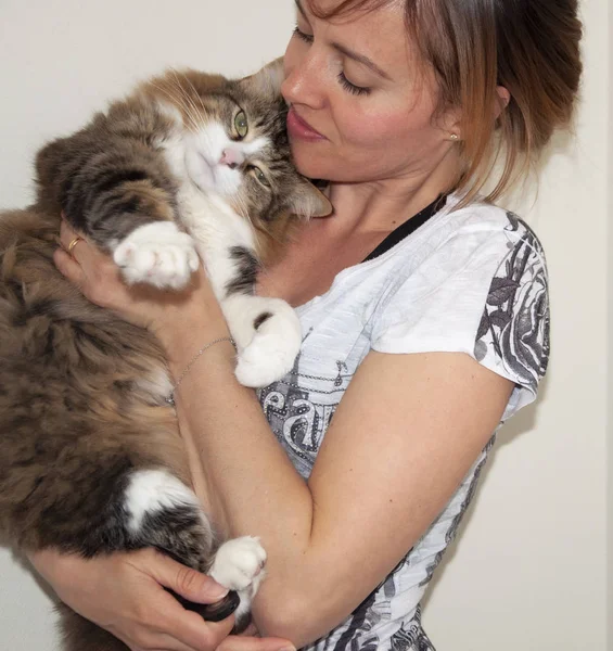 Bir kedi tutan olgun kadın