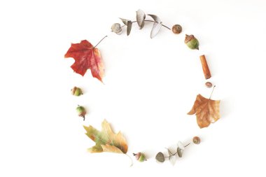 Sonbahar akçaağaç, okaliptüs ve meşe yaprakları bir beyaz masa arka plan üzerine koydu. Sonbahar daire kompozisyon. Düz yatıyordu, en iyi görünümü.
