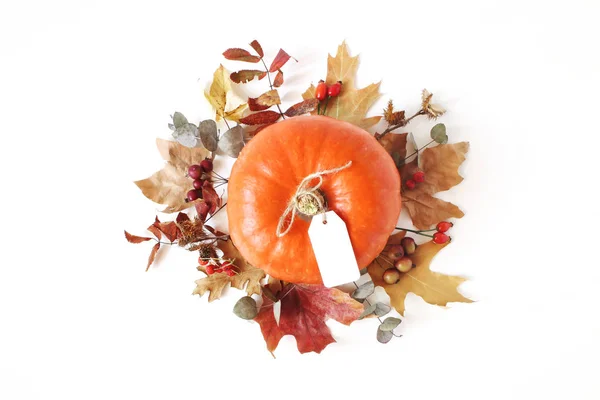 Autumn floral composition with orange pumpkin. Wreath made of dry maple, eucalyptus leaves and berries on white table background. Fall, Halloween and Thanksgiving design. Flat lay, top view. — Stock Photo, Image