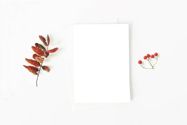Φθινοπωρινή σκηνή mockup μινιμαλιστικό χαρτικά. Σύνθεση των σανίδων χαρτί ευχετήρια κάρτα, φάκελος και κόκκινο ξηρό rowan φύλλα και μούρα σε φόντο λευκό τραπέζι. Επίπεδη lay, κορυφαία θέα. Βοτανική ρύθμιση. — Φωτογραφία Αρχείου