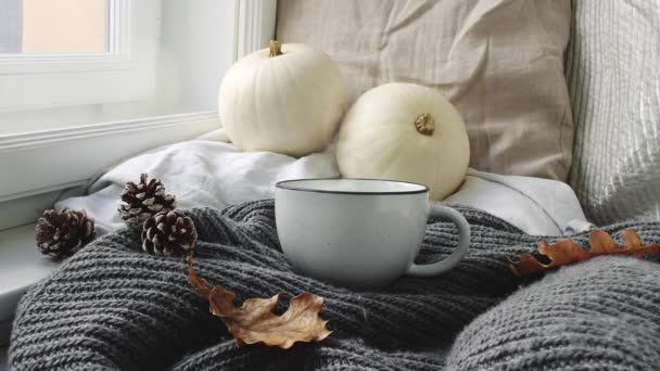 Cozy Autumn morning breakfast in bed scene. Steaming cup of hot coffee, tea standing near window. Fall, Thanksgiving concept. White pumpkins, pine cones and oak leaves on wool plaid. Loopable. Royalty Free Stock Footage