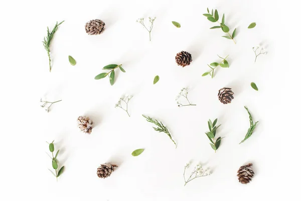 Christmas floral pattern. Winter composition of eucalyptus leaves and branches, larch cones and babys breath flowers on white table background. Flat lay, top view. — Stock Photo, Image