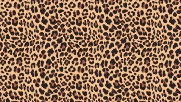 Close up, slow motion of moving leopard hair. Seamless loopable animationof beautiful exotic animal pattern. Abstract natural background. African wild cat fur.