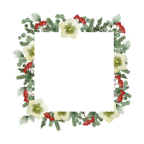 Christmas greeting card, invitation. Watercolor square frame, border. Pine tree and eucalyptus branches, hellebores flowers and rowan berries. Vintage winter floral composition. — Stock Photo, Image