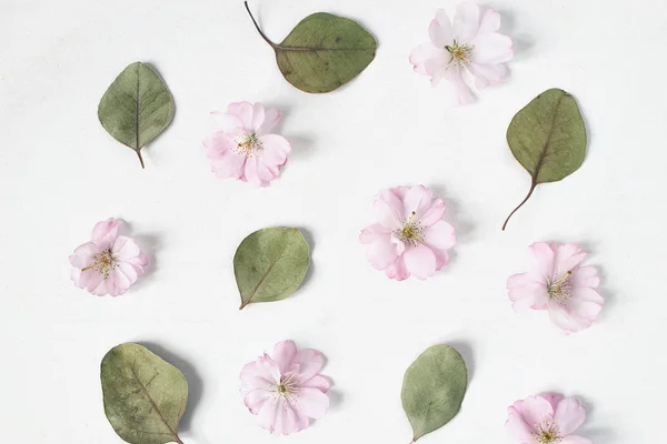 Feminine floral pattern. Dry eucalyptus leaves and pink Japanese cherry tree blossoms on old white wooden table background. Flat lay, top view. — Stock Photo, Image