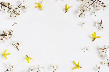 Çerçeve çiçek, web afiş beyaz prunus ve ahşap masa arka plan üzerinde izole sarı hor çiçeği çiçekleri yapılmış. Düz kadınsı kompozisyon, üstten görünüm tarz yatıyordu. Bahar kavramı. Çiçek desenli.