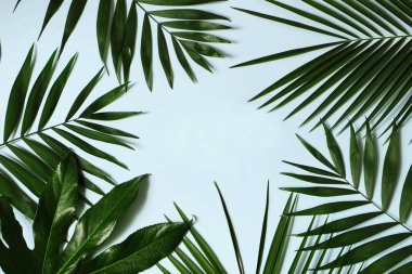 Stok fotoğraf tarz. Orman yeşil palmiye ve sarılıcı yaprakları mavi masa arka plan üzerinde izole bileşimi. Tropikal yaz tatili, tatil kavramı. Düz yatıyordu, en iyi görünüm. Çerçeve çiçek, web reklam.