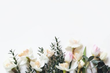 Bahar, Pembe Laleler, nergis, nergis çiçekleri ile kompozisyon tarz Paskalya ve okaliptüs şube beyaz masa arka plan üzerinde izole. Boş alanı. Çerçeve çiçek, web afiş. Üstten Görünüm.