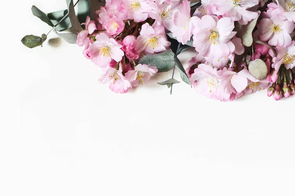 Closeup ozdobného proužku z růžových třešňových Cherry květů a eukalyptových větví. Fotka z akcií. Jarní, Velikonoční ženské květinové složení. Bílé pozadí. Plochý, pohled shora. — Stock fotografie