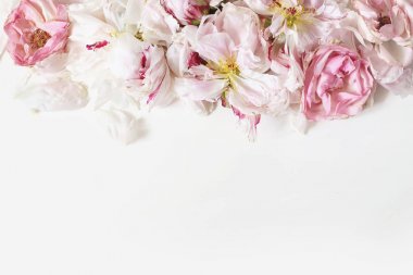 Beyaz masa arka plan üzerinde izole soluk şakayık ve pembe gül çiçekleri yaprakları yakın. Çiçek çerçeve kompozisyonu. Dekoratif web afişi. Tarz stok fotoğraf. Boş alan, düz döşeme, üst görünüm.