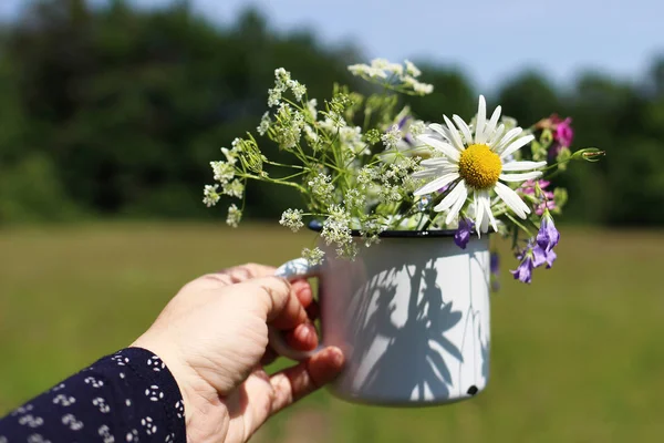 Close up of womans hand holding metal mug wild flowers bouquet. Outdoor relax time. White enamel cup with daisies, cow parsley and bluebells. Hiking and farm concept. Blurred background