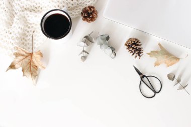 Sonbahar, Kapalı dizüstü bilgisayar ile sonbahar çalışma alanı kompozisyon. Fincan kahve, yün battaniye, sonbahar yaprakları, Kuru okaliptüs, makas ve beyaz masa arka planda Çam Konileri. Düz yatıyordu, üst görünüm. Blogger tasarım