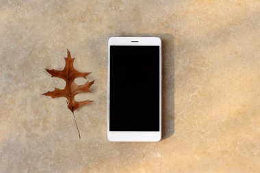 Modern beyaz akıllı telefon, masada boş siyah ekranlı cep telefonu. Kuru meşe yaprağı ile altın mermer arka plan. Sonbahar, sonbahar maket sahnesi. Sosyal medya düz yatıyordu, üstten görünüm.