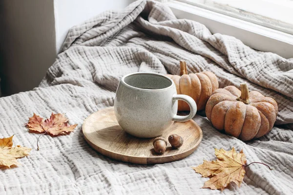 Gemütliches Herbstfrühstück Stillleben Szene. Tasse heißen Kaffee, Tee, der auf einem Holzteller am Fenster steht. Herbst, Danksagungskonzept. Orangene Kürbisse, Eicheln und Ahornblätter auf Baumwollkarierten. — Stockfoto