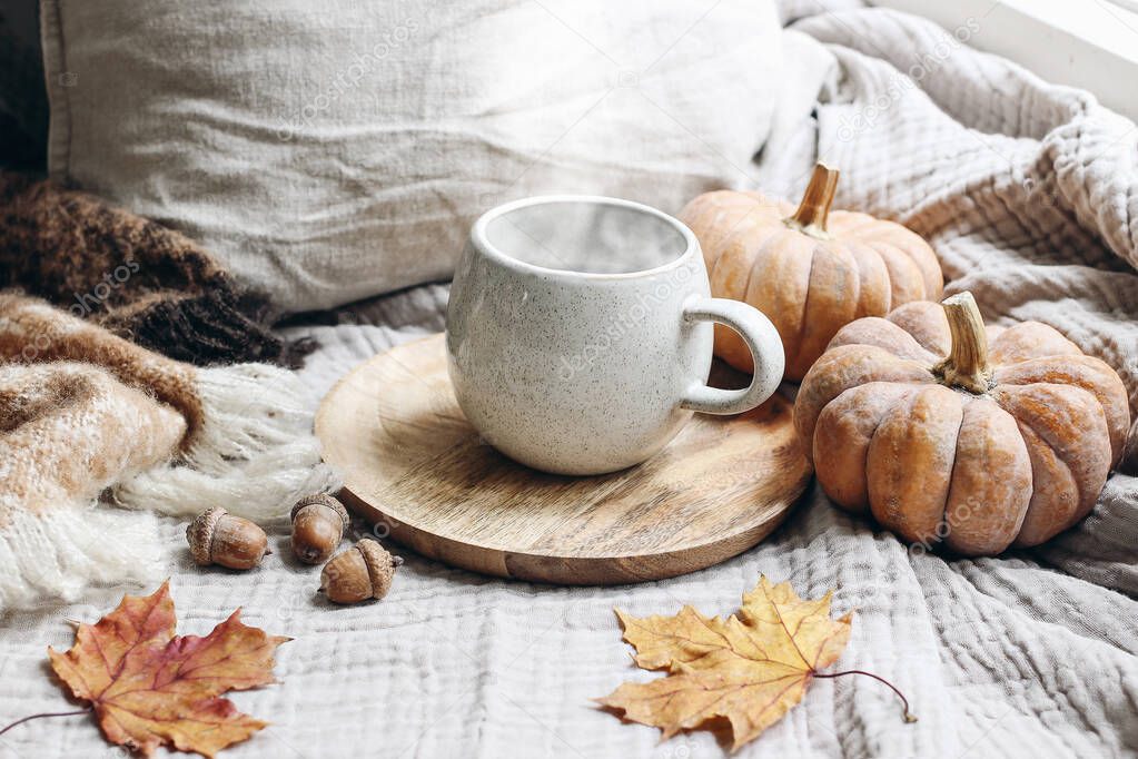 Cozy autumn morning breakfast still life scene. Steaming cup of hot coffee, tea standing on wooden plate near window. Fall, Thanksgiving concept. Orange pumpkins, acorns and maple leaves, wool plaid.