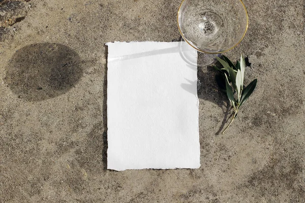 Summer wedding, birthday stationery. Blank greeting card mockup. Olive branch and glass of cocktail, wine in sunlight on concrete background. Flat lay, top view, long shadow. Celebration concept.
