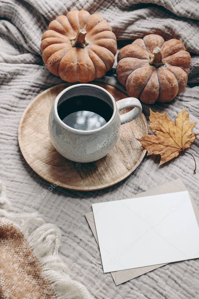 Fall styled composition. Autumn breakfast still life. Blank greeting card mock-up scene with cup of coffee, wool blanket, maple leaf and pumpkins. Cotton table cloth background. Thanksgiving. Vertical