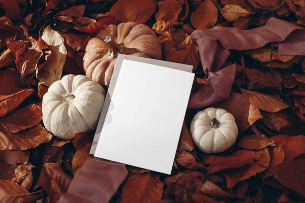 白とオレンジのカボチャ、乾燥した赤ブナのシルクリボンは地面を残します。空のグリーティングカード、クラフトエンベロープモックアップシーン。秋の森の背景。秋、感謝祭とハロウィンのお祝いのコンセプト — ストック写真