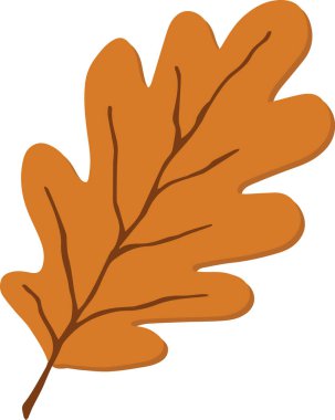 Şeffaf arkaplanda portakal meşesi çizimi izole edildi. Sarı sonbahar doğal dekoru. Sonbahar botanik nesnesini kes. El çizimi clipart, tek doğal grafik ögesi.