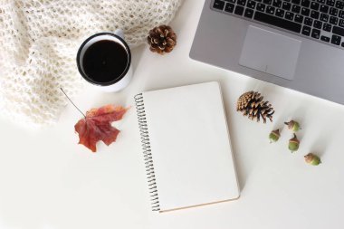 Düz sonbahar çalışma alanı dizüstü bilgisayar, kahve fincanı, defter, battaniye, sonbahar yaprağı, kozalaklar ve beyaz masa arkasında meşe palamudu ile yatıyordu. Konforlu üst görünüm blogger sahnesi, Şükran Günü mevsimsel tasarımı, üst