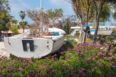 Saksıyı denize yakın bir park dekorasyon için kullanılan eski bir ahşap tekne. Plaj sahil Kıbrıs.