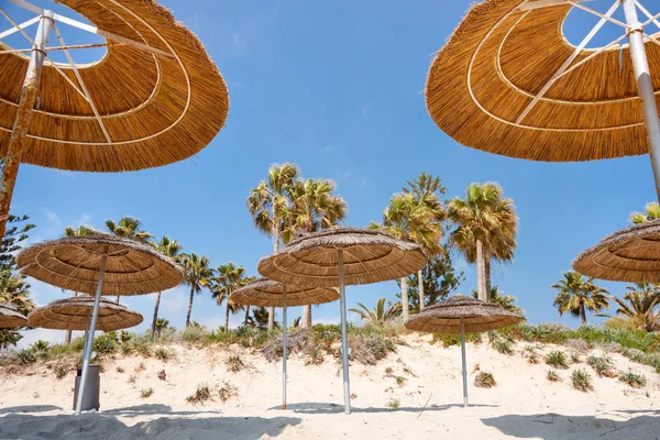 Reed beach umbrellas, sunshades against blue sky on the beach. Bamboo parasols, straw umbrellas on on white sandy tropical seashore. Tropical sea beach coastline, summer holiday. — Stock Photo, Image