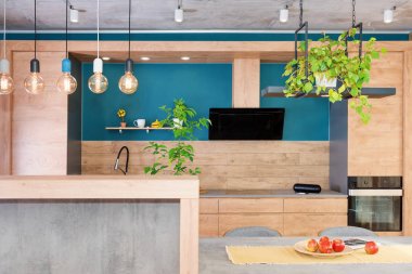 Lüks mutfakta modern mobilyalar. Minimalist İskandinav iç mimarisi, ahşap mobilyalar, lambalar, beton elementler ve bitkilerle dolu bir çatı katında.