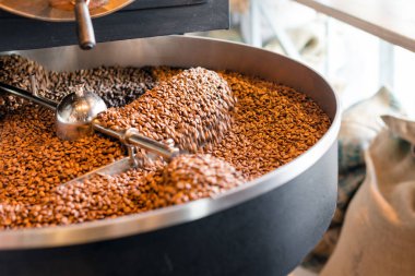 Soğutma silindirinde büyük bir kavurma dan taze kavrulmuş kahve çekirdekleri. Fasulyede hareket bulanıklığı, seçici odak