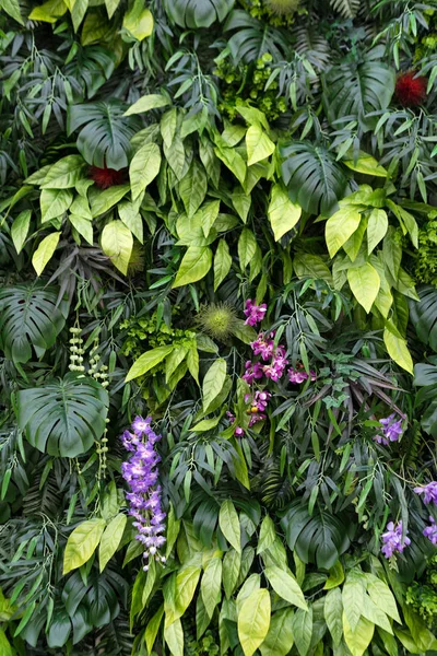 Tropikal yapraklar ve çiçekler arka plan. Tropikal yeşil yapraklı dikey bahçenin doğa arka planı — Stok fotoğraf
