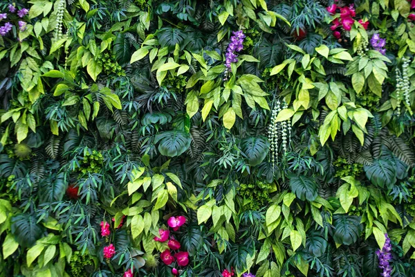 Hojas tropicales y flores de fondo. Fondo natural de jardín vertical con hoja verde tropical — Foto de Stock