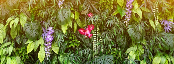 Tropical leaves and flowers background. Nature background of vertical garden with tropical green leaf